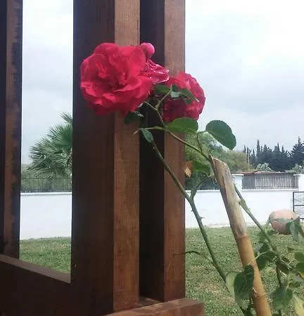 Vendégház Liberta Seferihisar