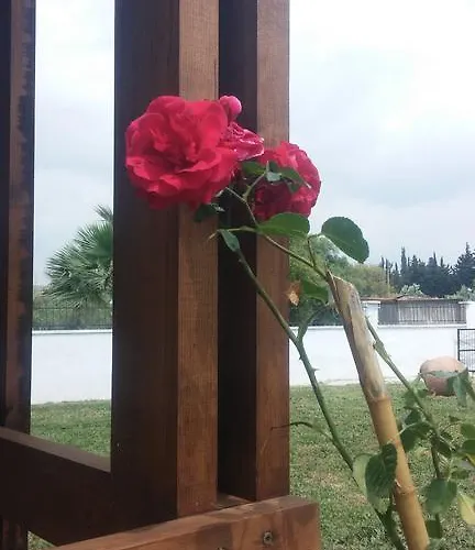 Gasthuis Liberta Seferihisar